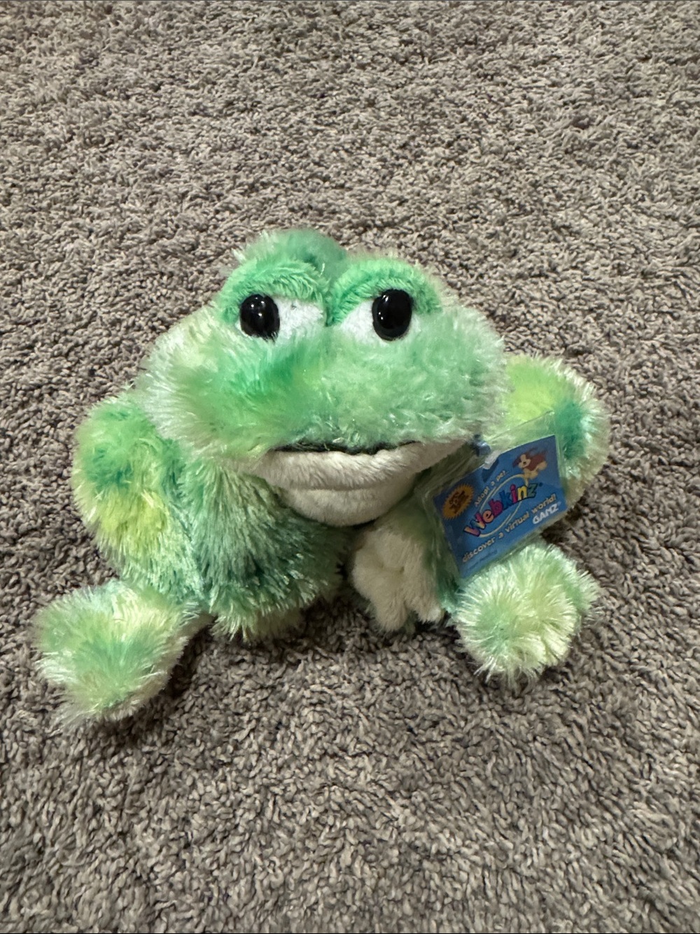 Plush Green Frog Small Pet Toy - No Brand Listed